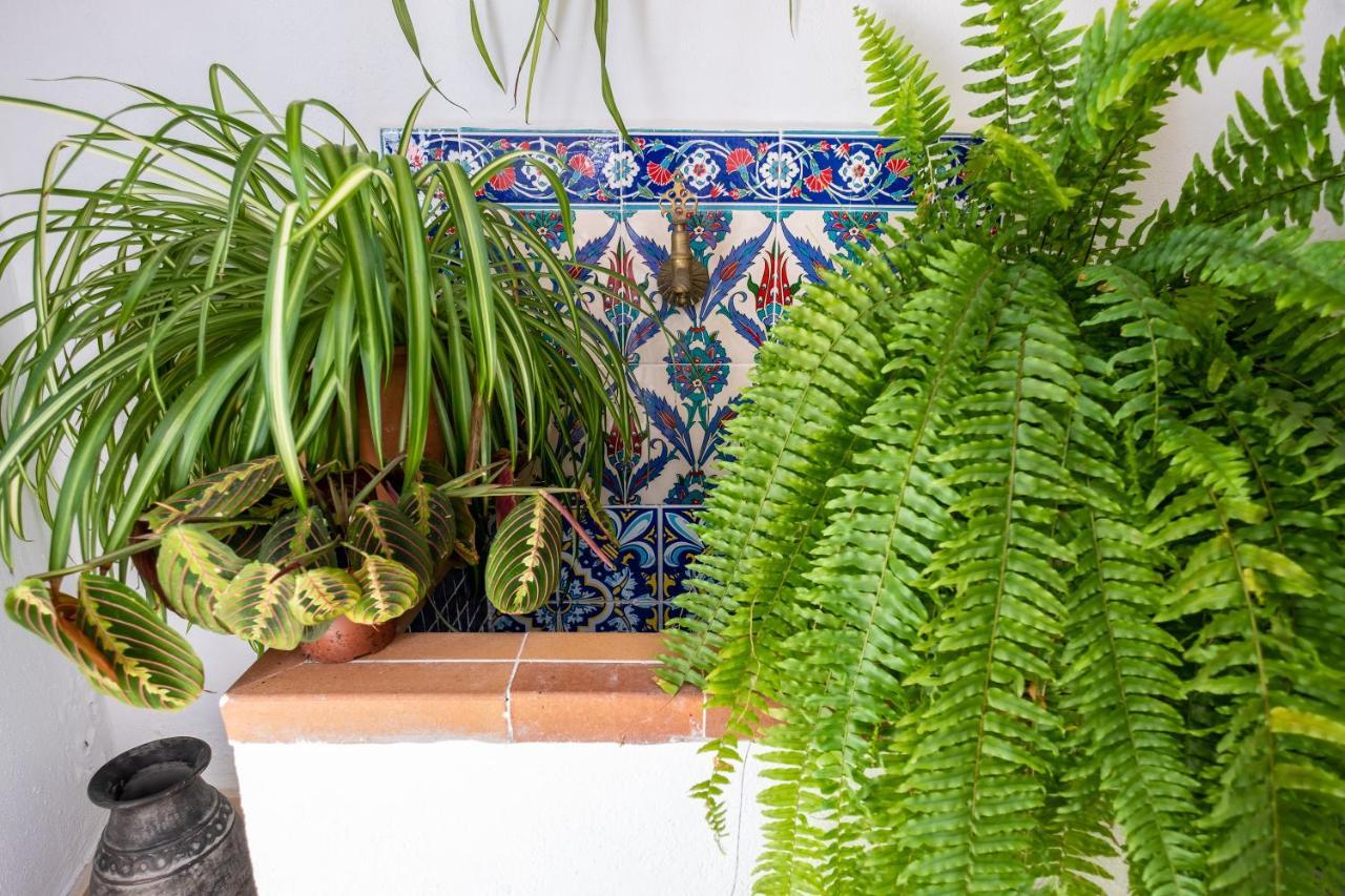 La Casa Del Agua Βίλα Vejer de la Frontera Εξωτερικό φωτογραφία